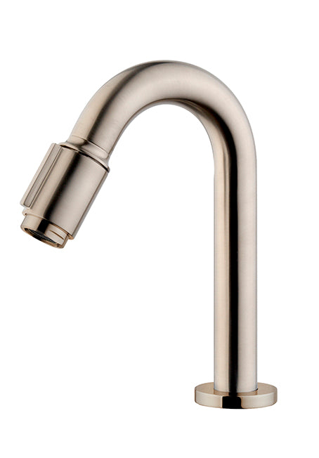 Eaucaral victoria fonteinkraan 1/2'' geborsteld staal pvd