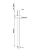 Eauunimatch douchearm met plafondbevestiging 30 cm geborsteld messing pvd