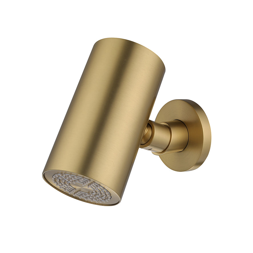 EauuniMatch Beam hoofddouche rond 1 stand met muurbevestiging geborsteld messing PVD