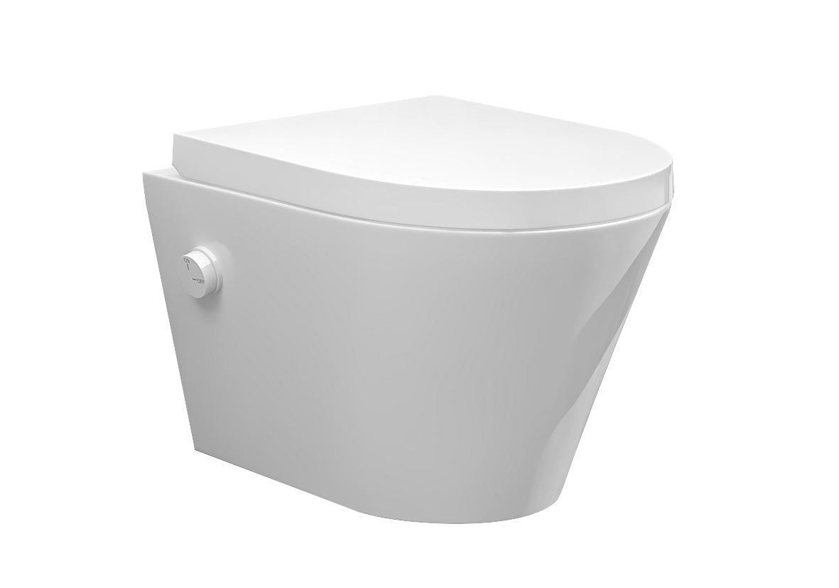 Eauvesta wandcloset rimless met bidetkraan koud water met vesta toiletzitting mat wit