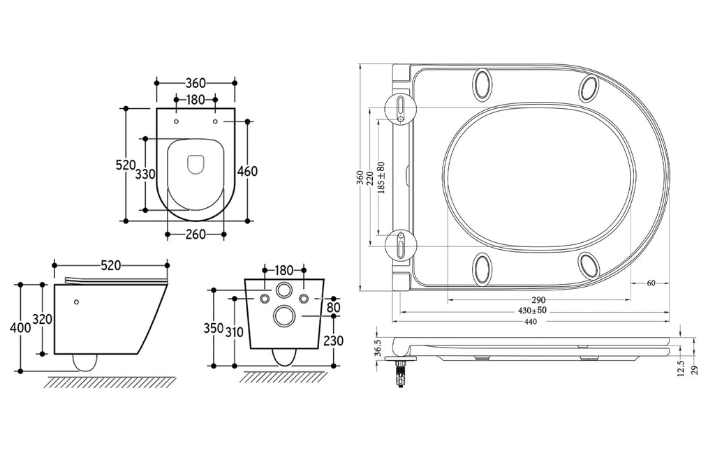 Eauvesta wandcloset rimless met bidetkraan warm koud water met flatline toiletzitting mat zwart